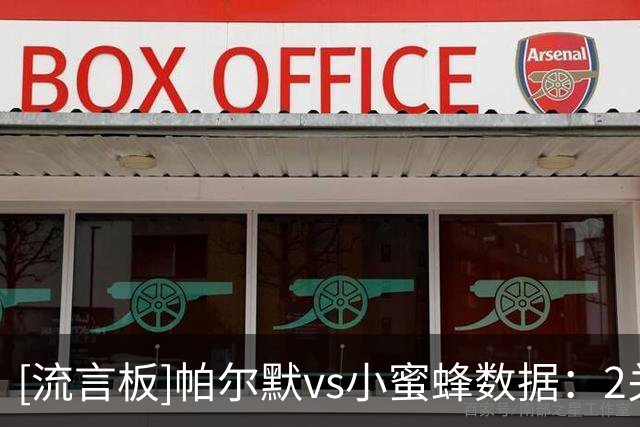 [流言板]帕尔默vs小蜜蜂数据：2关键传球+5过人3成功，16次对抗8胜